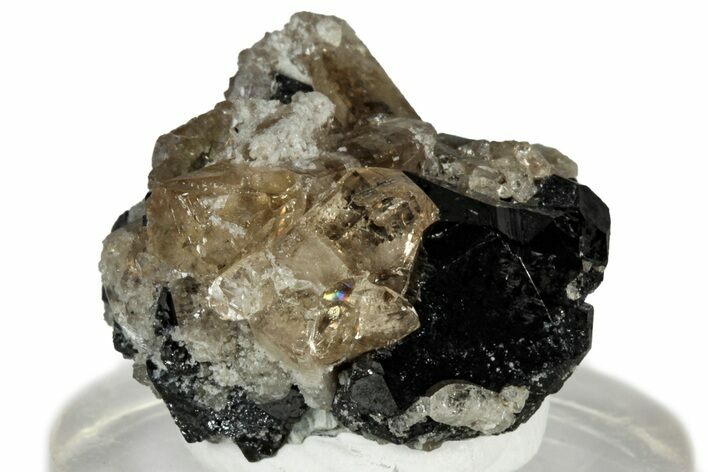 Lustrous Champagne Topaz Crystals on Bixbyite - Utah #309328